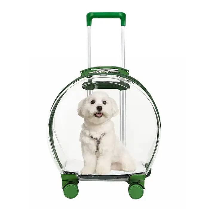 Chariot valise transporteur Transparent sac de transport pour animaux de compagnie chats transporteu