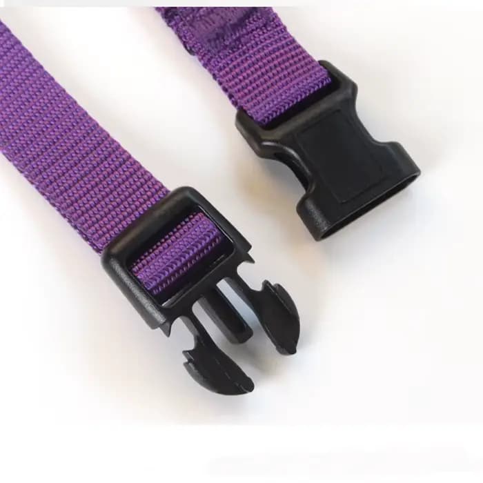 Colliers réglables en Nylon pour chiot et chaton, bande de cou solide et Durable, adaptés aux chats