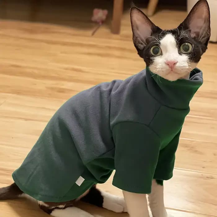 DUOMASUMI-Vêtements thermiques chauds auto-chauffants pour chat Sphynx, sous-vêtements sans poils, D