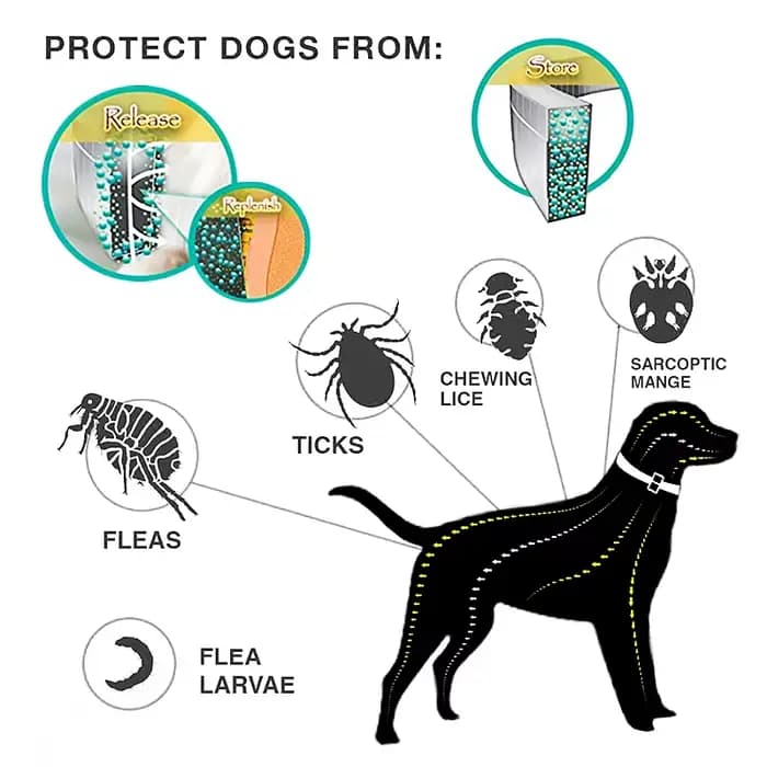 Collier Anti-puces et tiques pour chien et chat, Protection rétractable de 8 mois, pour chiot, chat,