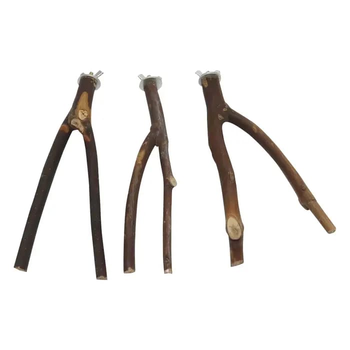 Support de fourchette d'arbre pour oiseaux de compagnie, 15cm, support de branche de rondins de perr