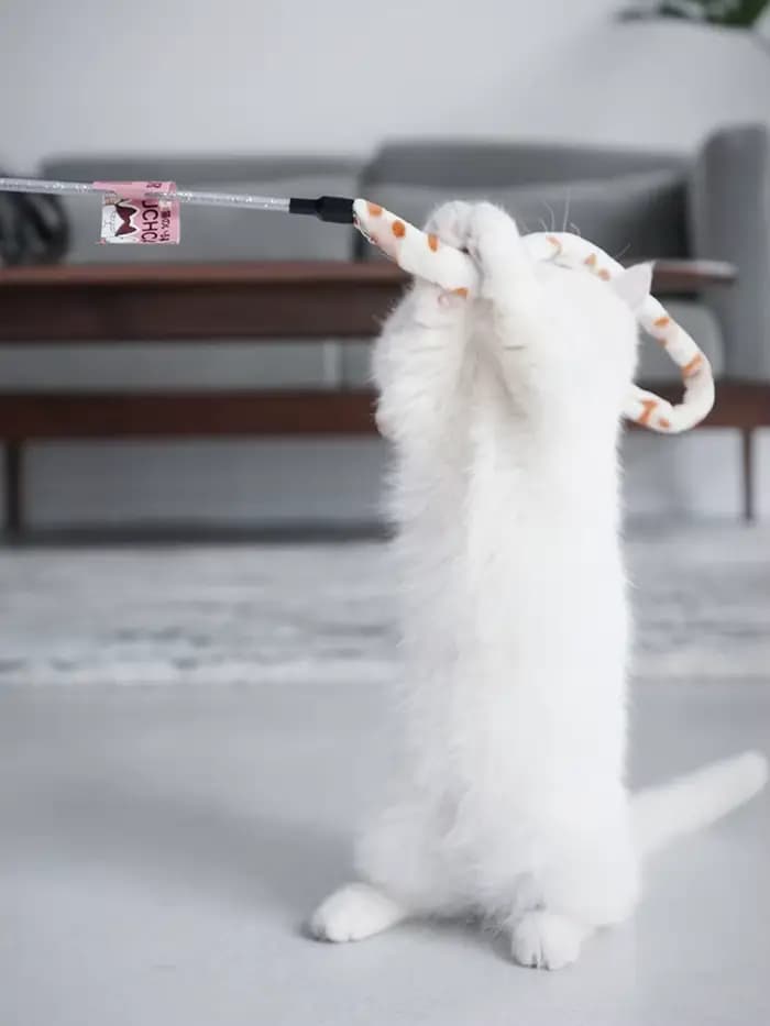 Jouet pour chat plume chat Teaser baguette chat jouet interactif drôle chenille coloré tige Teaser b