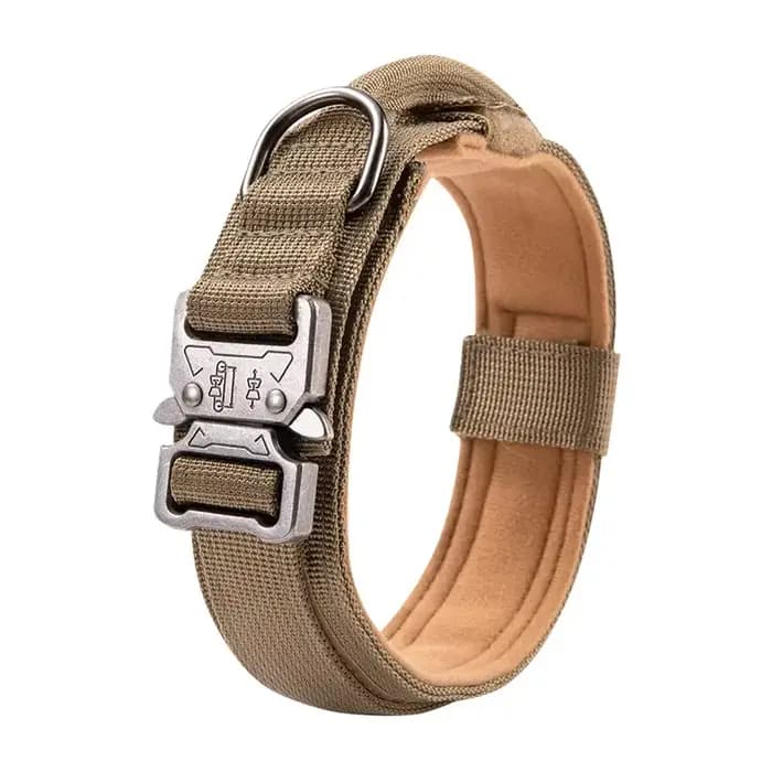 Ensemble de collier de chien durable réglable, laisse militaire pour animaux de compagnie, moyen et