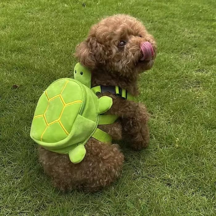 Sac à dos souple pour animaux de compagnie, sac à collation pour chien, sac d'école mignon pour chio