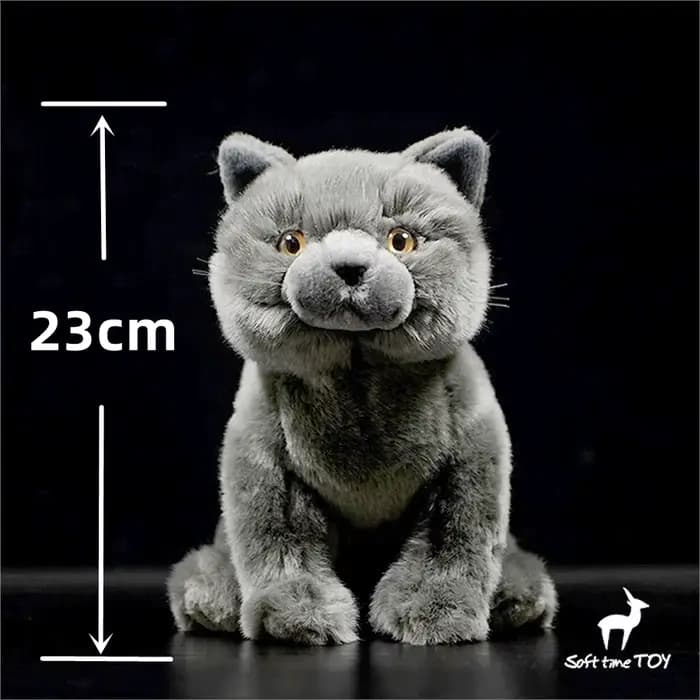 Jouet en peluche British Shorthair réaliste-animal en peluche chat britannique bleu réaliste, peluch
