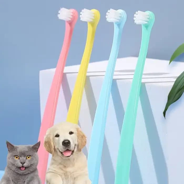 Brosse à dents pour chat, nettoyage des dents de chien, toilettage pour animaux de compagnie, brosse