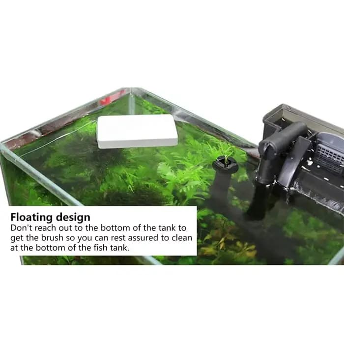 Brosse magnétique flottante pour le nettoyage des vitres d'aquarium, grattoir pour poissons, livres