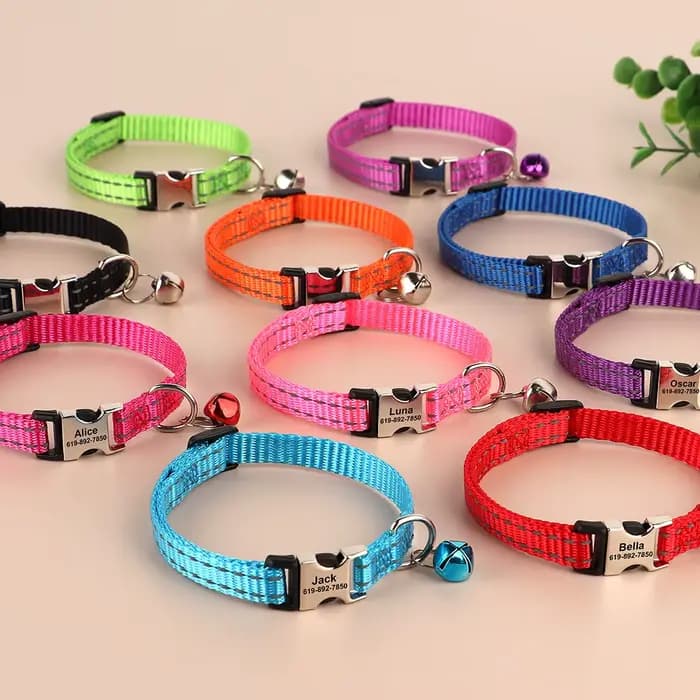 Collier personnalisé gravé pour animal de compagnie, colliers de coulée pour chaton et chiot, collie