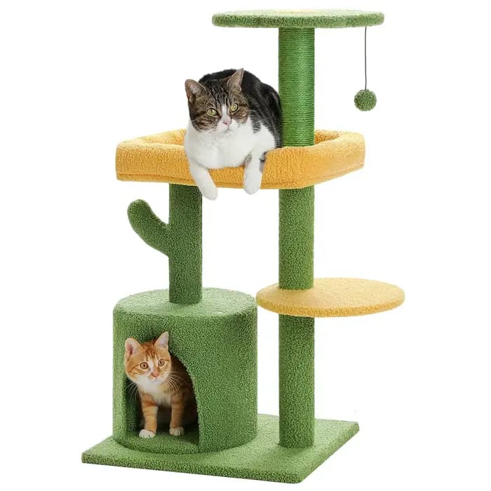 Arbre à chat d'intérieur de 36,5 pouces, tour à plusieurs niveaux, design cactus, avec perchoir en p