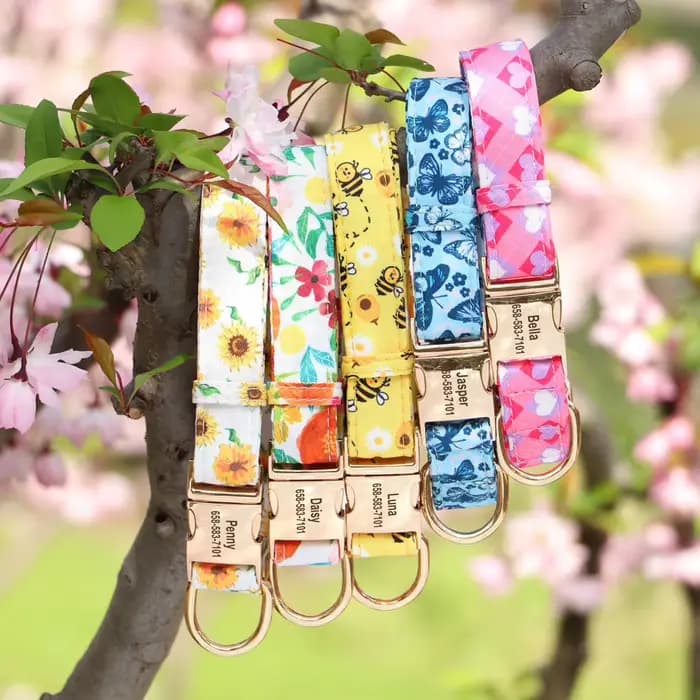 Collier de chien personnalisé imprimé pour fille avec nœud papillon floral, plaque d'identification
