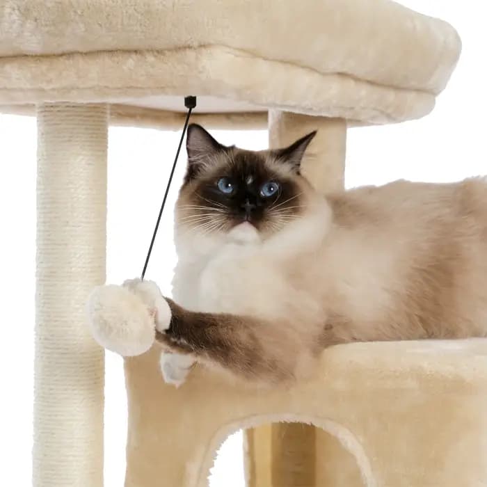 Tour d'arbre à chat en bois avec double condos, perchoir spacieux, poteaux en sisal à gratter entièr