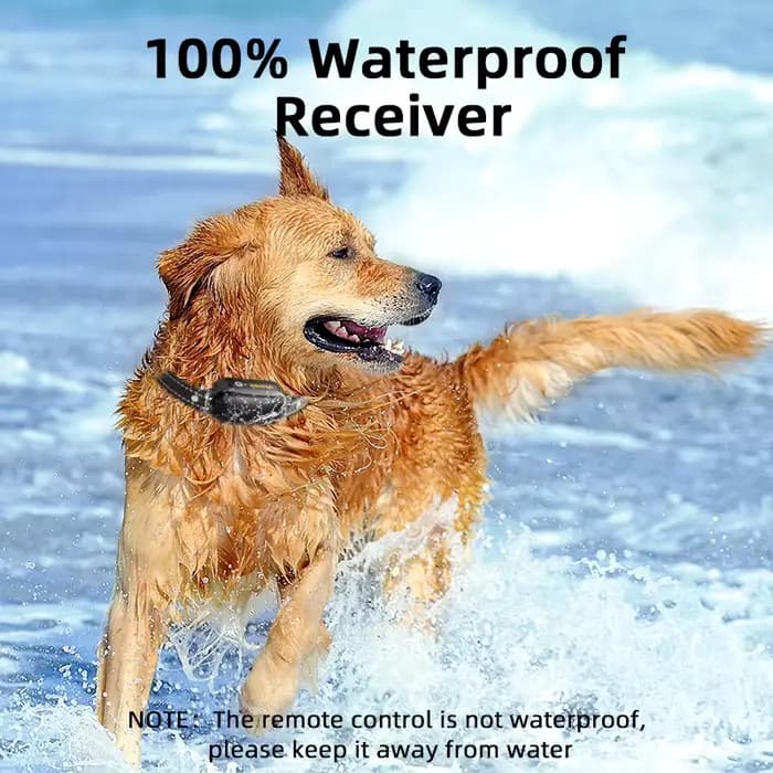 ROJECO-Collier de dressage électrique pour chien, télécommande numérique aste, vibrateur étanche IPX