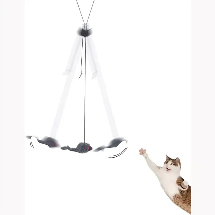 Jouet interactif suspendu à la porte pour chat, avec souris noire, entretoyez et exercez votre jouet