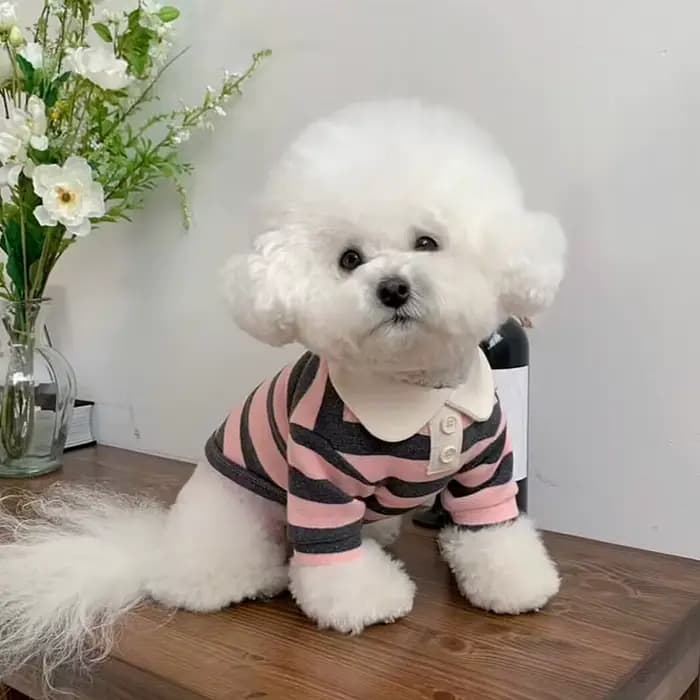 Chemise rayée pour chien, vêtements d'été pour chiot, gilet pour chat mignon, respirant, chemise fin