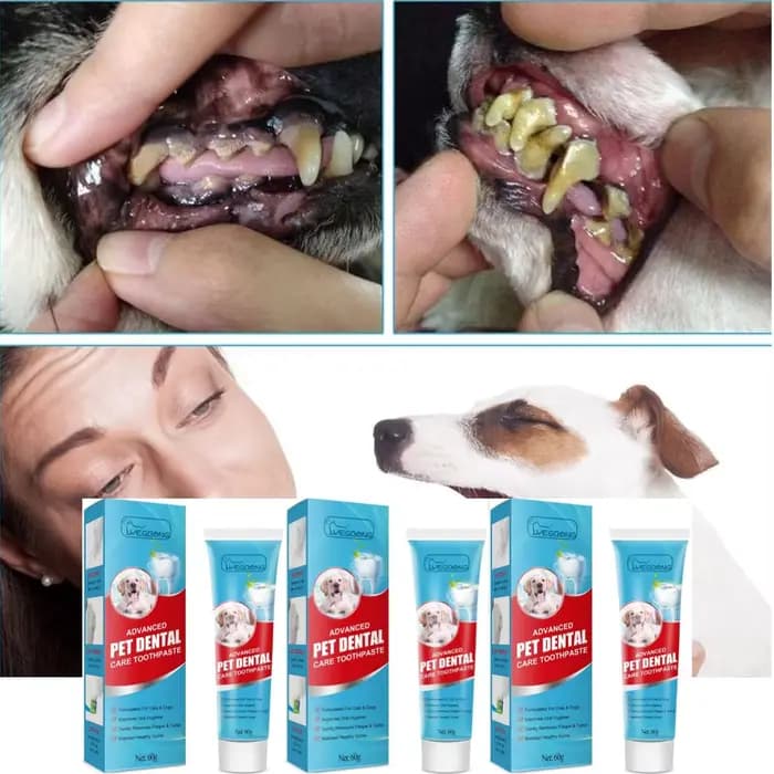 60g Dentifrice Comestible Avancé pour Animaux de Compagnie : Élimine la Plaque et le Tartre, Maintie