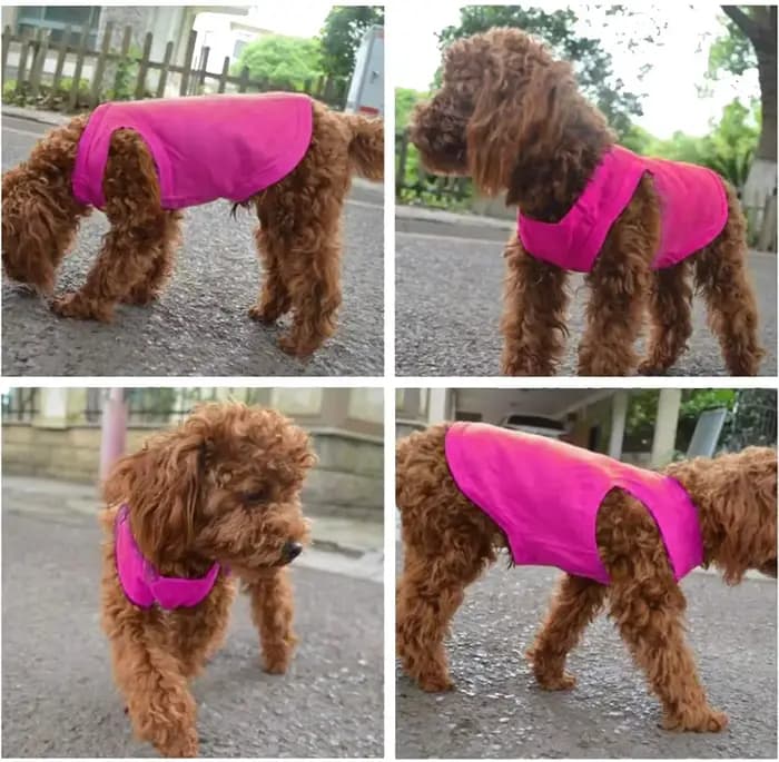 Chemises pour chiens en pur coton, vêtements vierges pour chiots, petits, moyens et grands chiens, T