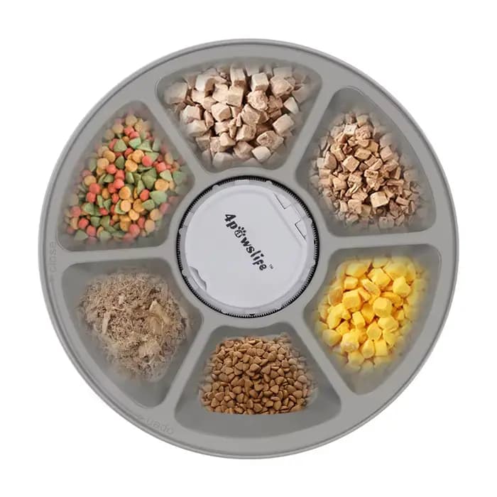 Distributeur automatique de nourriture pour animaux de compagnie, distributeur de nourriture rond à