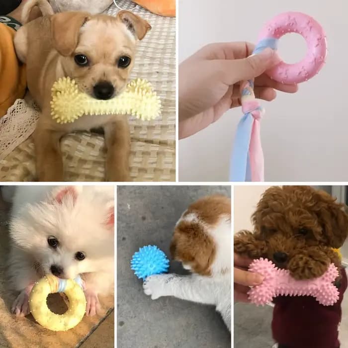 Jouets pour petits chiens, à mâcher, avec nœud TPR, résistant aux morsures, nettoyage des dents mola
