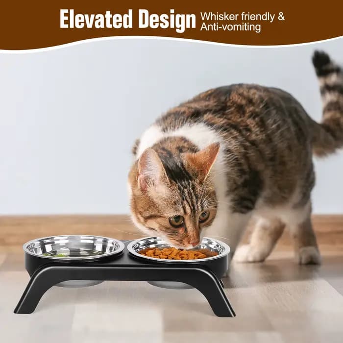 Bols surélevés pour chat, bol pour chien, ensemble de bols d'eau surélevés en acier inoxydable avec