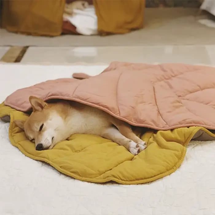 Tapis de feuilles rafraîchissantes pour chien, tapis d'été pour chiens, couverture pour chat, canapé