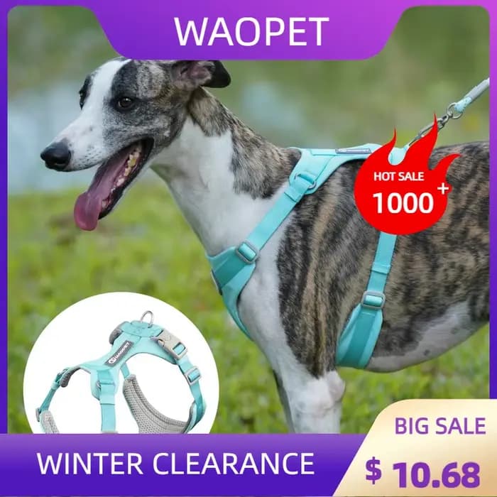 Harnais respirant pour chien, gilet réfléchissant sans traction pour animaux de compagnie, pour peti