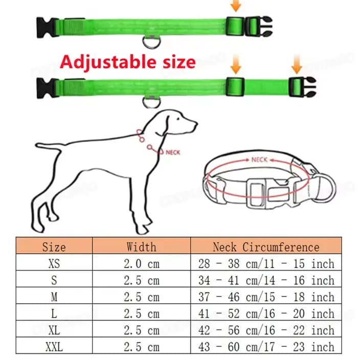 3 Modes chien collier de Charge lumineux Led Usb chat chiens colliers détachable nuit Led lueur chie