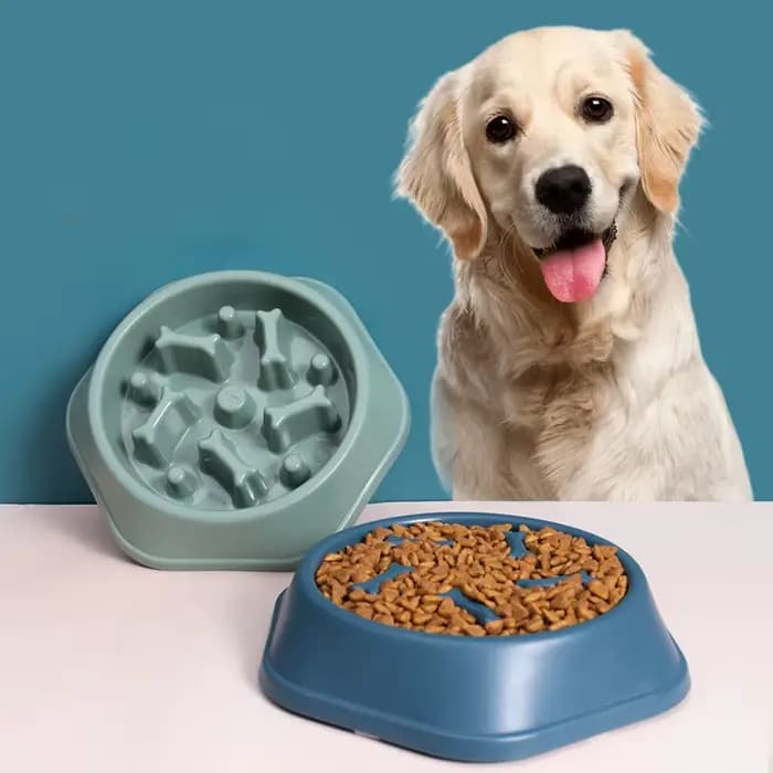 Filles à Nourriture Lente Anti-étouffement pour Animaux Domestiques, pio en Plastique PP, Assiette p