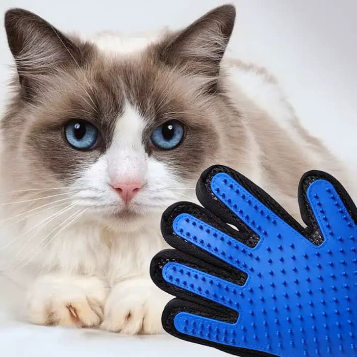 Pet Hair Remover Gants Chat Chien Massage Baignade Nettoyage Toilettage Fournitures Silicone Cheveux