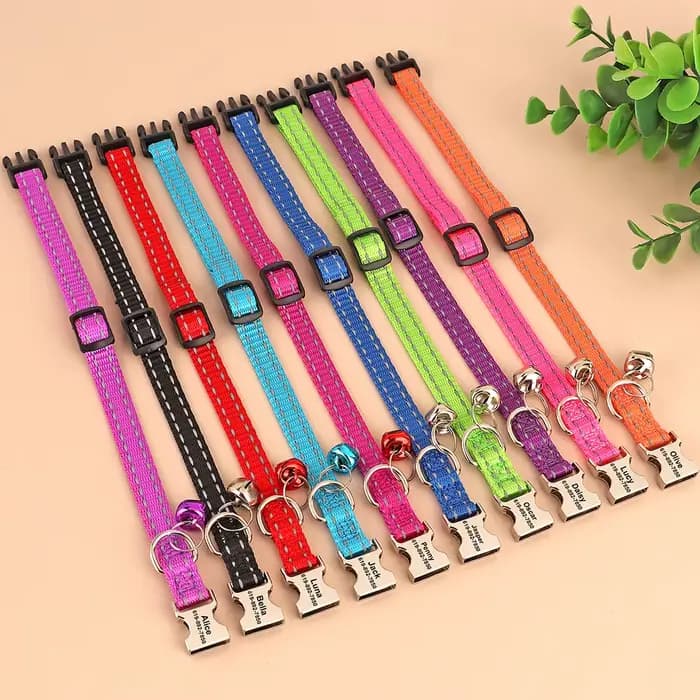 Collier d'identification de chat personnalisé Anti-perte chiot chats colliers de nom d'identificatio