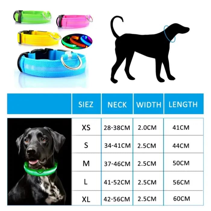 Collier Anti-perte pour chien, lumière Led, fournitures lumineuses de nuit pour chiots, produits pou