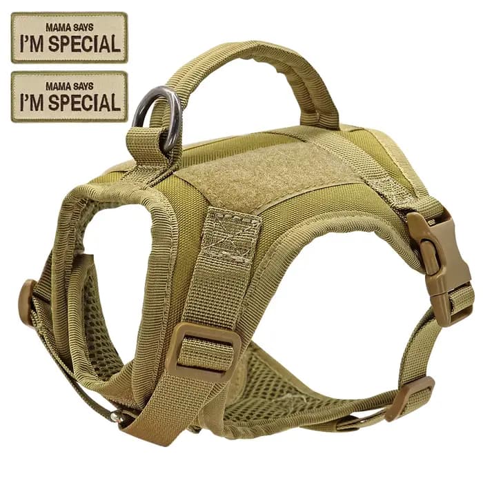 Harnais en Nylon pour chat, gilet avec 2 autocollants, harnais tactique militaire pour chats avec po