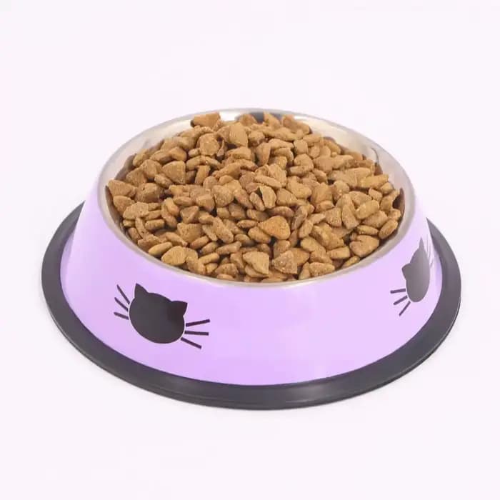 Supet-Gamelle en acier inoxydable à double paroi avec base en caoutchouc coordonnante pour chien et