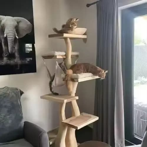 Arbre à chat en bois d'intérieur moderne de haute qualité, cadre d'escalade multicouche en sisal