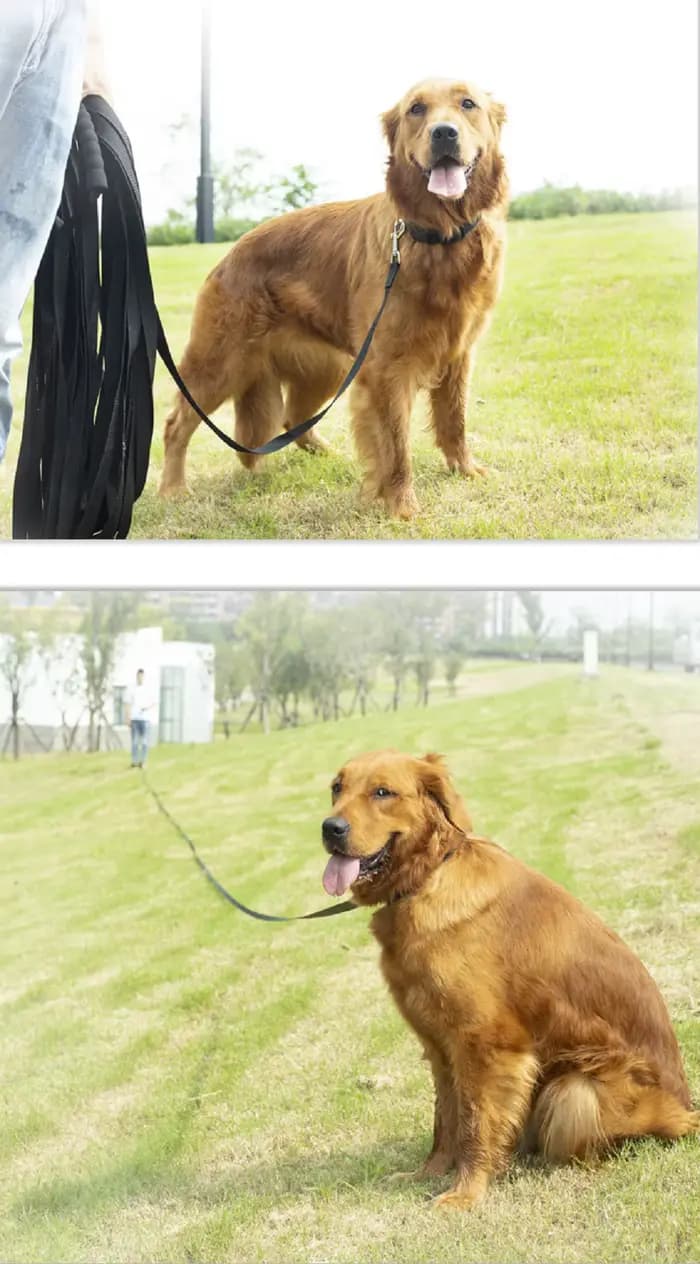 Laisse longue en nylon avec poignée en éponge confortable pour chiens, lanière d'entraînement en ple