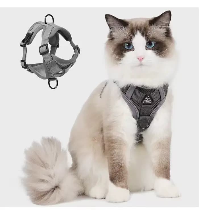 Harnais de poitrine pour chat, ensemble de harnais de poitrine pour chat en maille souple réglable A