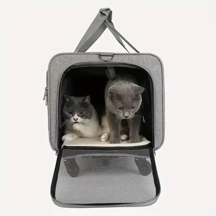 Valise de chariot portative Extra Large pour animaux de compagnie, boîtier de chariot détachable pou