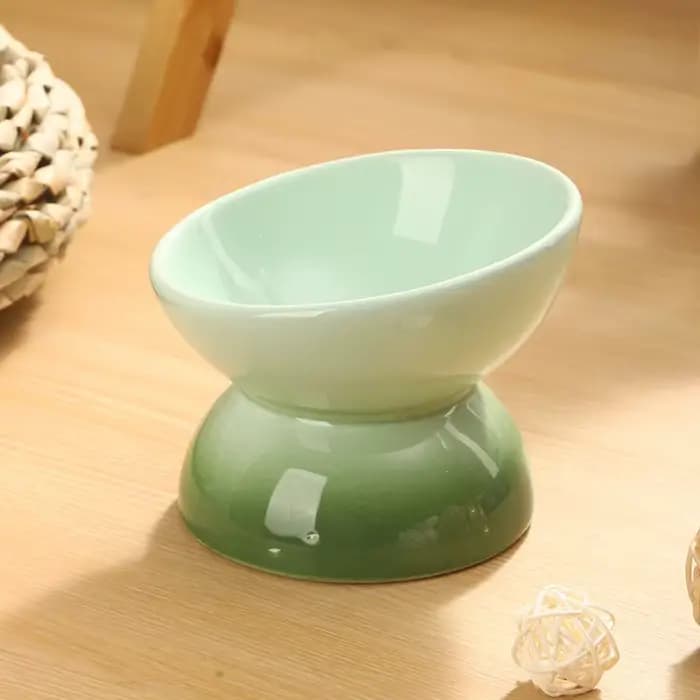 Bols surélevés en céramique pour chat, bol de nourriture inclinable pour chat, bol mangeoire pour an