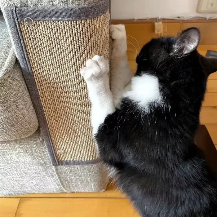 Tapis de canapé en bambou naturel pour chat, planche à gratter pour aiguiser les ongles, grattoir, j