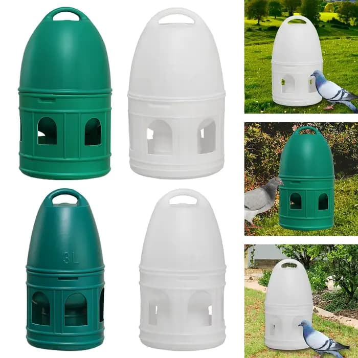 Distributeur d'eau pour pigeons, abreuvoir pour oiseaux, mangeoire pour oiseaux, accessoires de gran