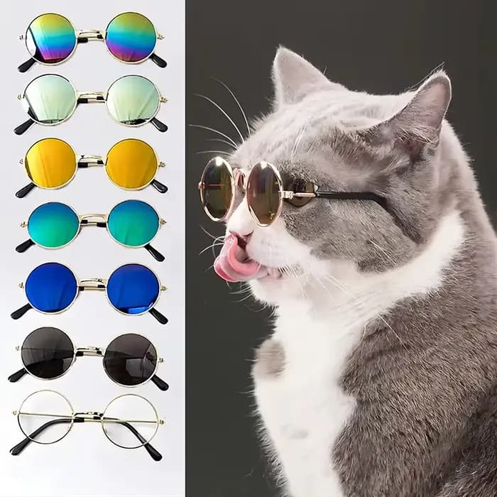Lunettes de soleil rondes Vintage pour chat, jolies lunettes à réflexion pour petit chien, chat, Pho