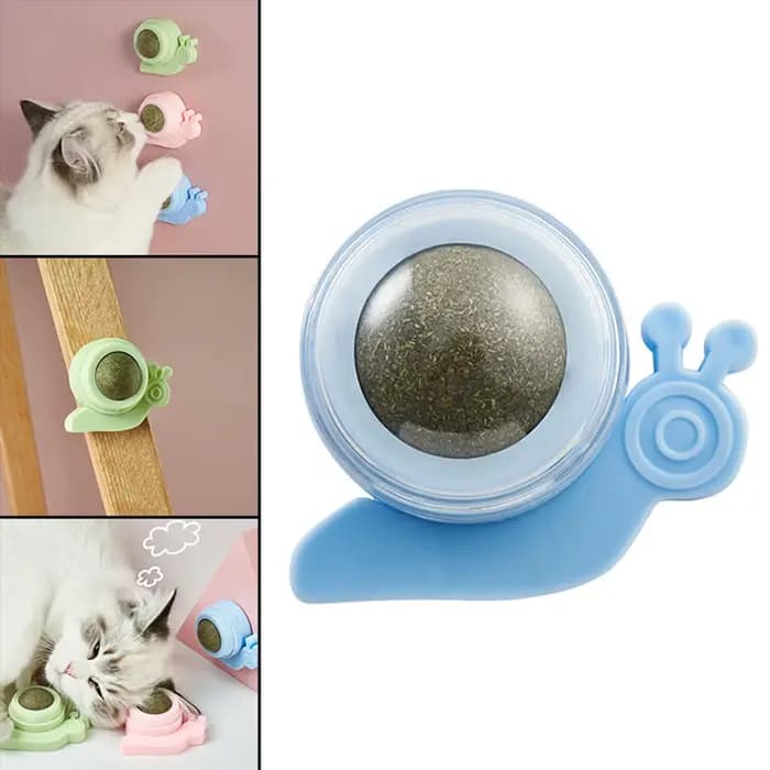 Jouet rotatif à la catnip pour chaton, pour le jeu et le nettoyage des dents