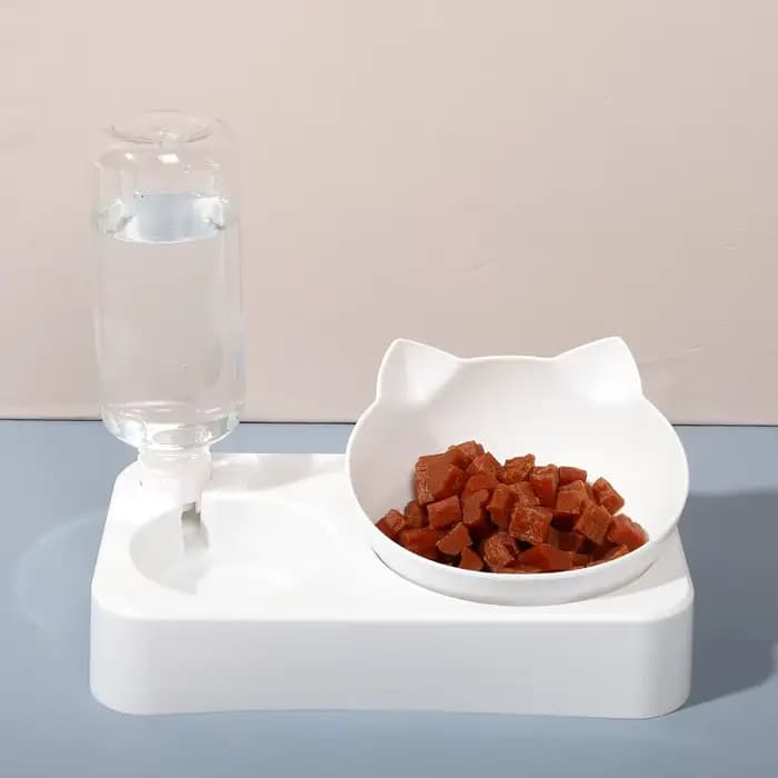 Mangeoire automatique pour animaux de compagnie, mangeoire pour chien, inclinaison pour protéger les
