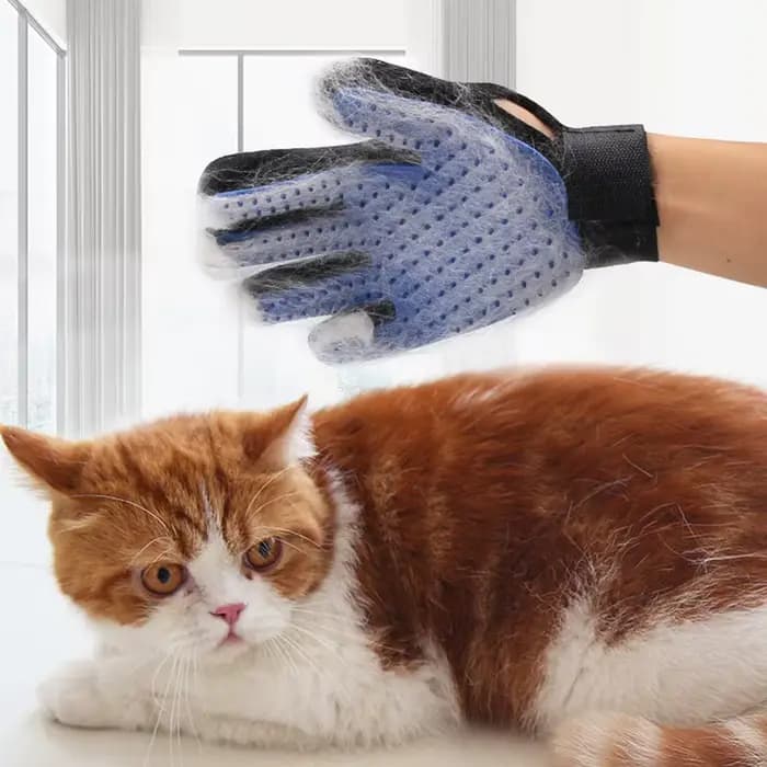 Pet Hair Remover Gants Chat Chien Massage Baignade Nettoyage Toilettage Fournitures Silicone Cheveux