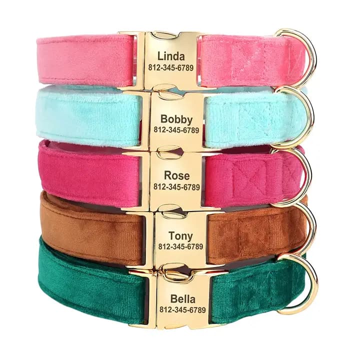Collier de chien en velours personnalisé, Super doux, avec boucle d'identification, nom gravé, colli