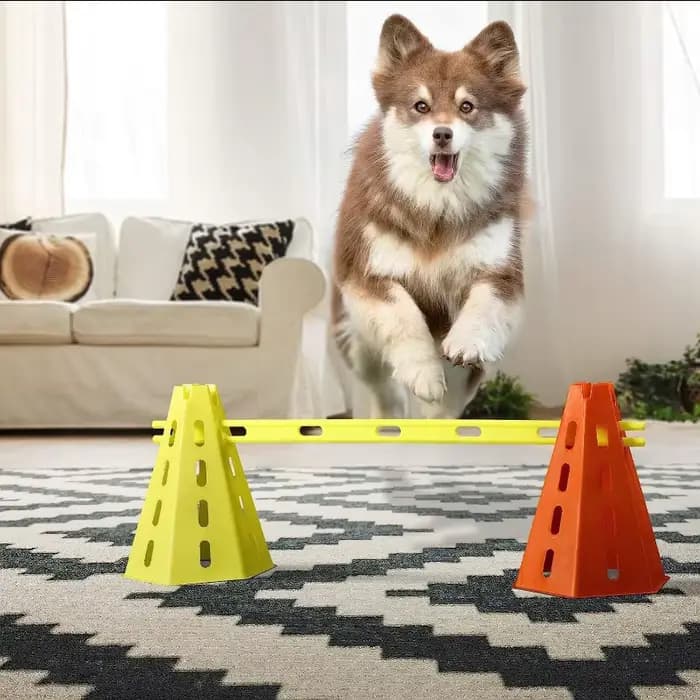 Ensemble d'entraînement d'agilité pour animaux de compagnie, barre de saut, équipement d'entraînemen