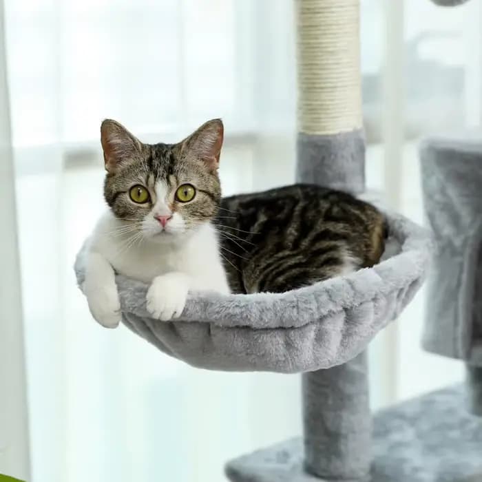 Arbre à Chat pour Grands Chats Adultes avec Super Grand Perchoir Supérieur, Tour pour Grands Chats a
