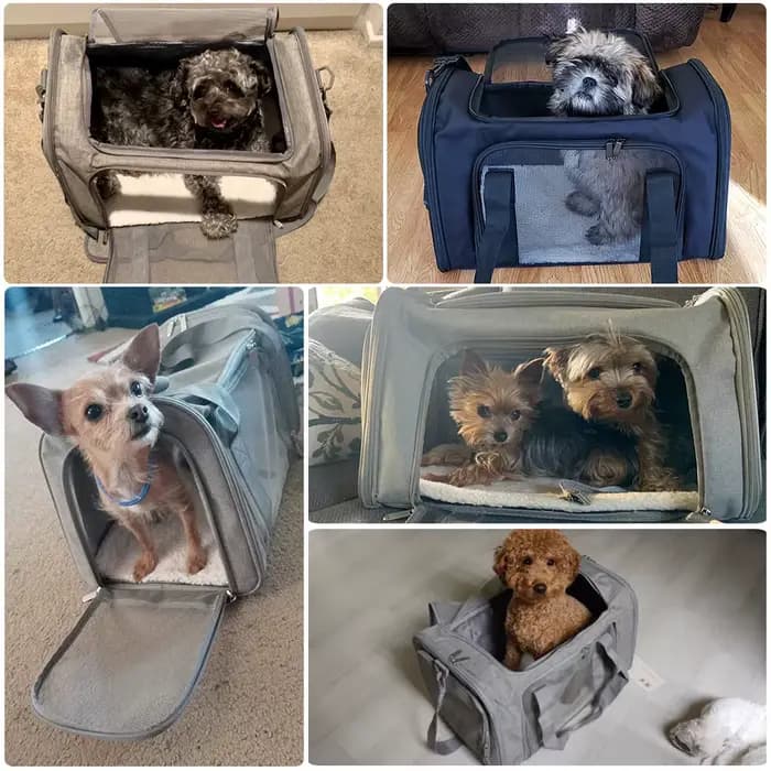 Sac de Transport pour chiens, sac à dos latéral souple, porte-animaux de compagnie, sacs de voyage p