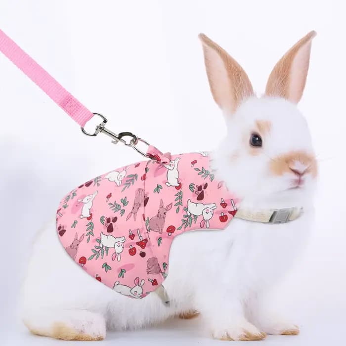 Poitrine et dos College pour animaux de compagnie, respirant, lapin, usage extérieur, un ensemble