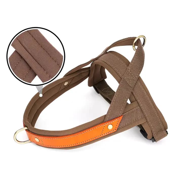 Harnais pour chien sans traction, rembourré et doux, gilet réfléchissant, harnais d'entraînement pou