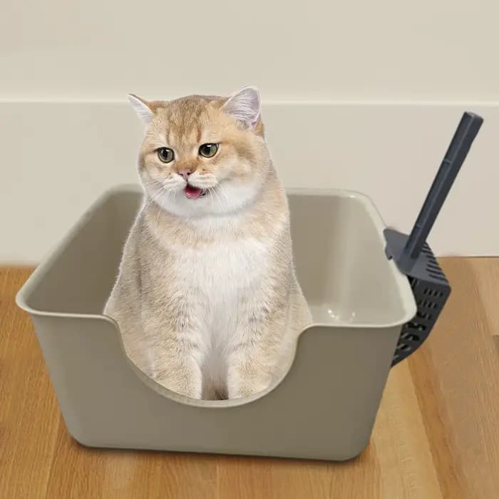 Bac à litière pour animaux de compagnie à dessus ouvert, bac à litière anti-éclaboussures pour chat,